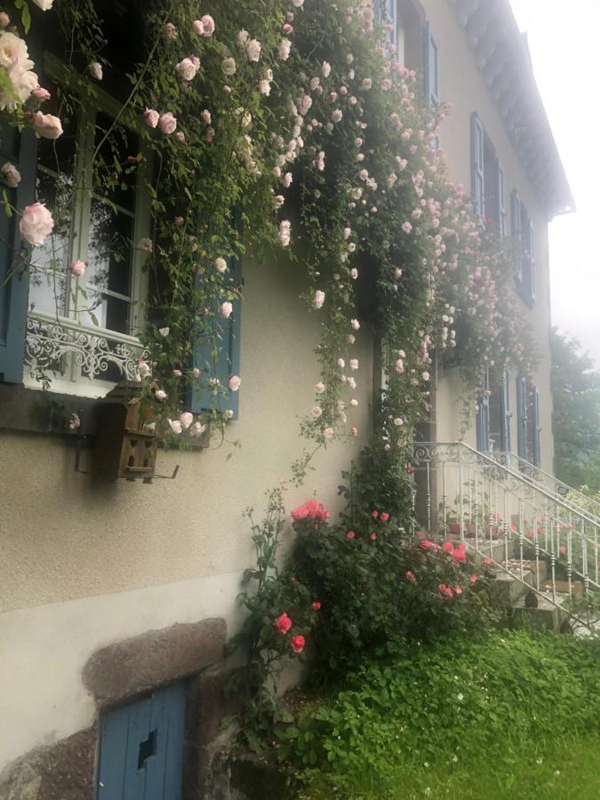Le Figarelou Bed & Breakfast Thiezac Exterior photo